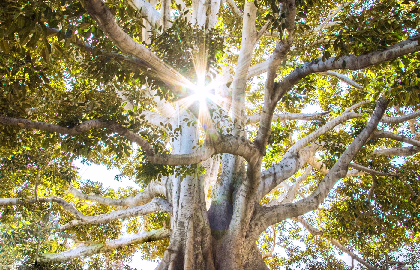 Индекс жизни для предпринимателя